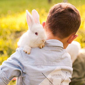 Learning from your rabbit’s behaviour | Whetstone