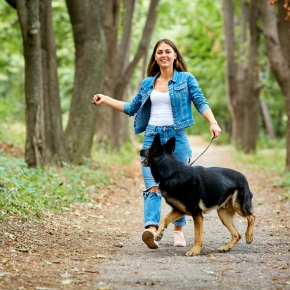 Bored of Your North London Dog Walks? How to Spice Things Up